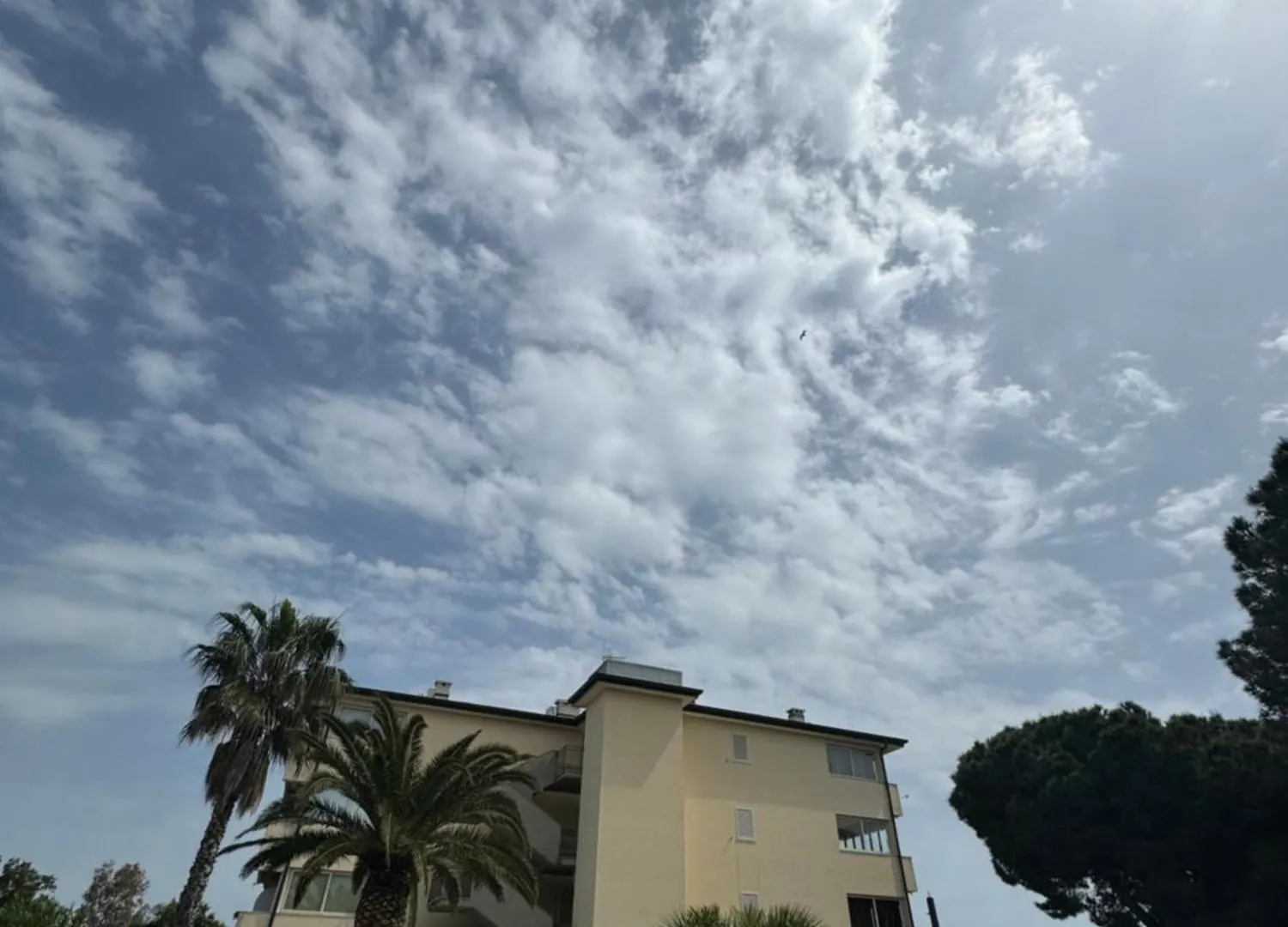 Blanco_Loft708 Apartment Capoliveri  Italy